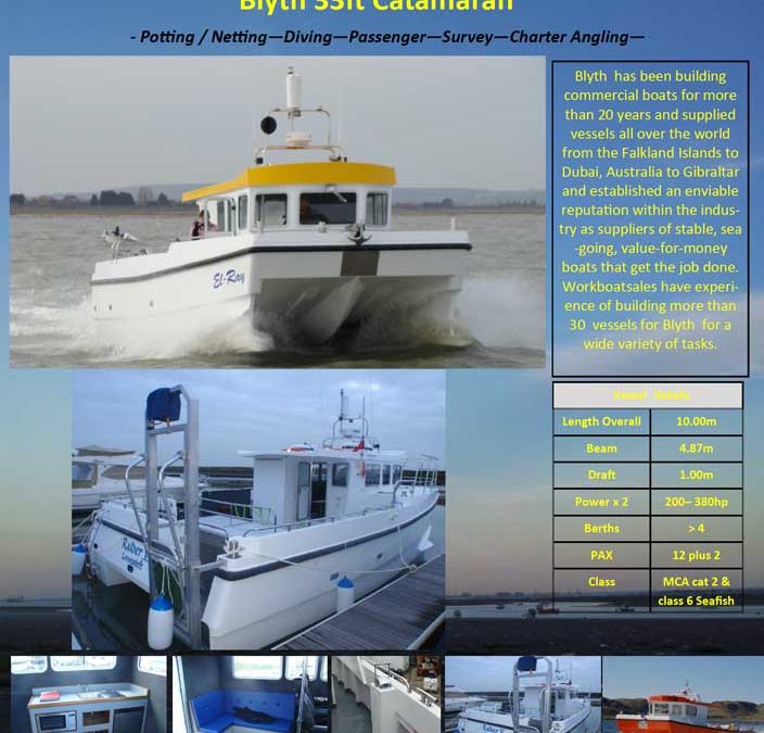 Blyth 33ft Catamaran