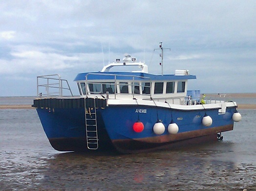 catamaran gemini a vendre