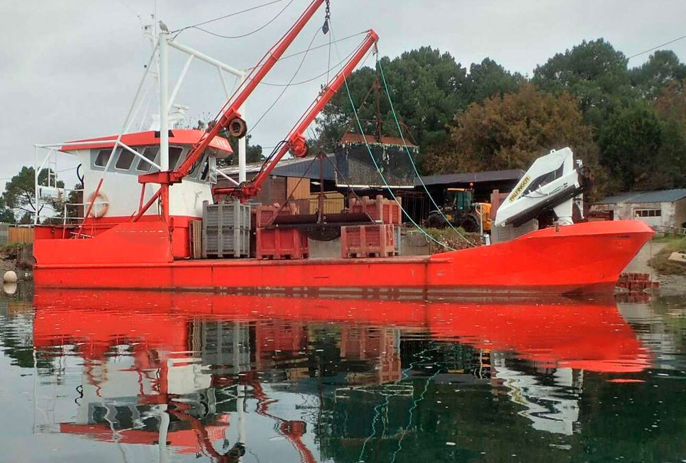 17.3m Workboat for Sale – Available January 2024